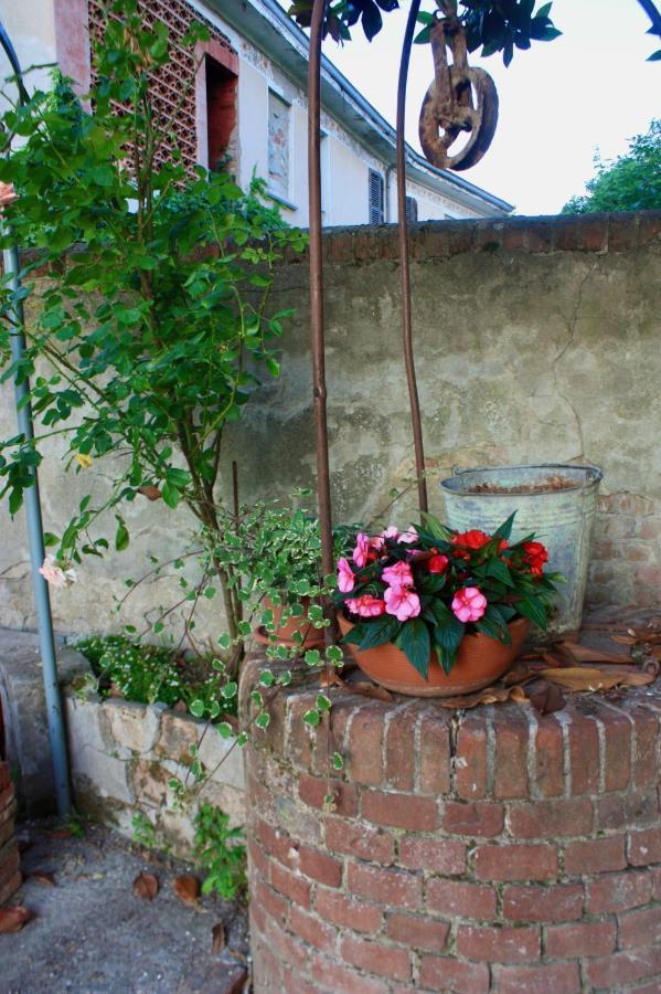 Alfiano Natta Casapaletti Country House מראה חיצוני תמונה